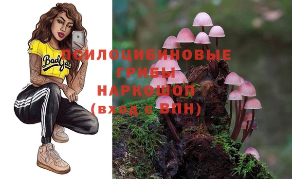 стаф Волосово