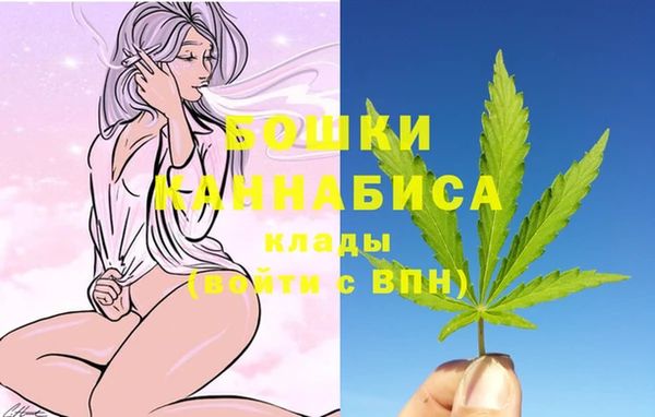 стаф Волосово