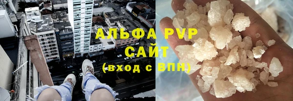 прущие грибы Верея